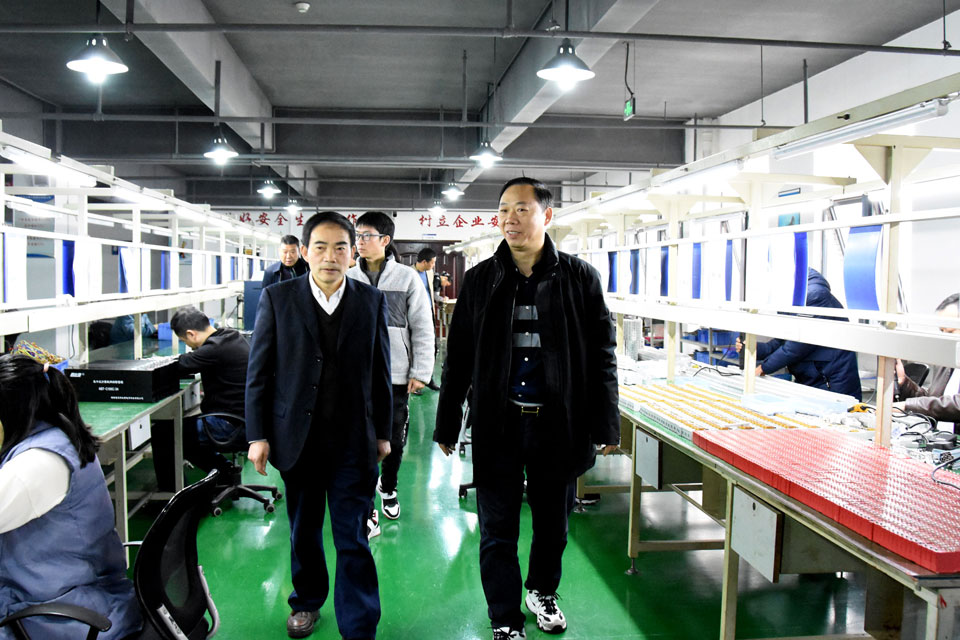 竹溪县政府领导调研ld平台