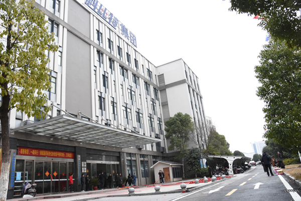 虎虎生威 | ld平台防雷新春开工大吉